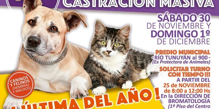 Se viene la última campaña de castración gratuita del año