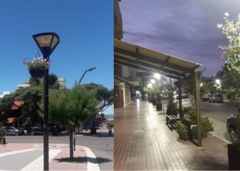 Nueva ornamentación viva con distintas especies en el centro comercial