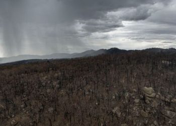 Llueve torrencialmente en Australia y se controlan los incendios forestales
