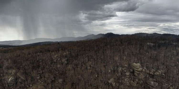 Llueve torrencialmente en Australia y se controlan los incendios forestales