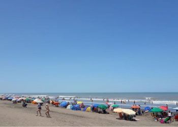 Cronograma de actividades del 29 al 31 de enero