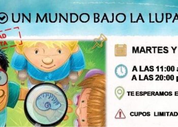 Vuelve “Un mundo bajo la lupa” al Museo de Ciencias