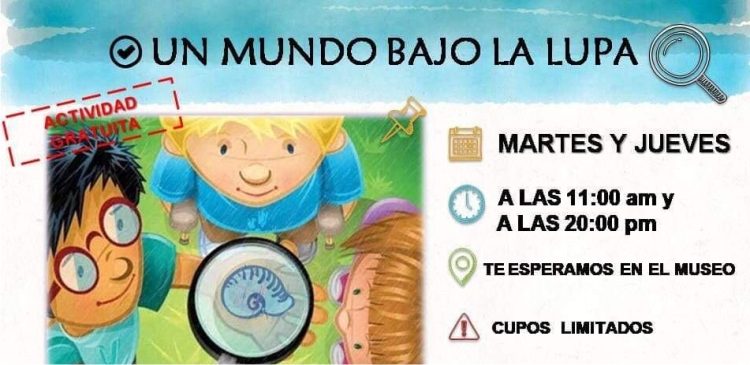 Vuelve “Un mundo bajo la lupa” al Museo de Ciencias