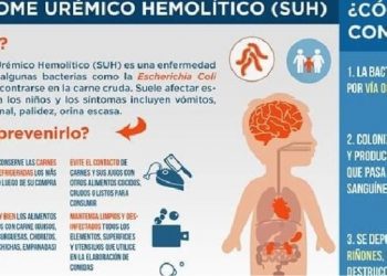 Prevención ante el Síndrome Urémico Hemolítico.