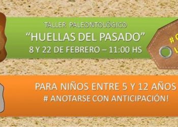Taller de Paleontología para niños en el Museo de Ciencias