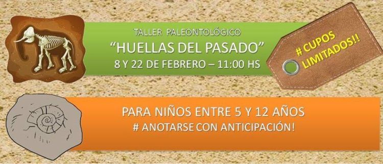 Taller de Paleontología para niños en el Museo de Ciencias