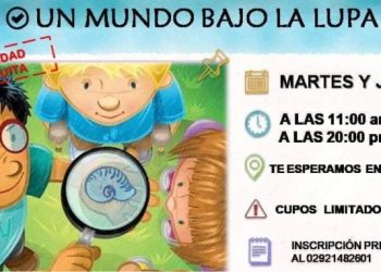 Actividades para no perderse en el Museo » Un mundo bajo la Lupa «