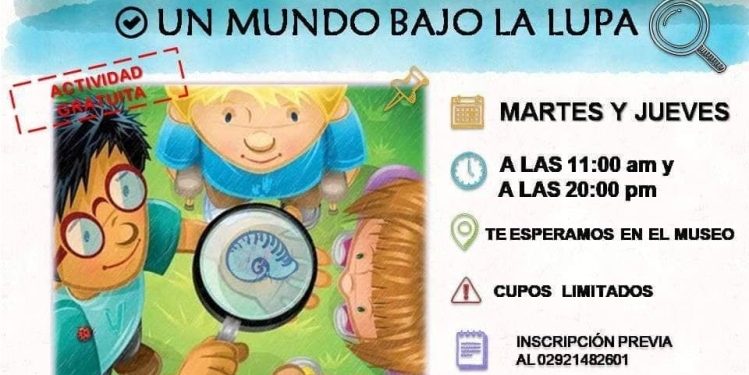 Actividades para no perderse en el Museo » Un mundo bajo la Lupa «
