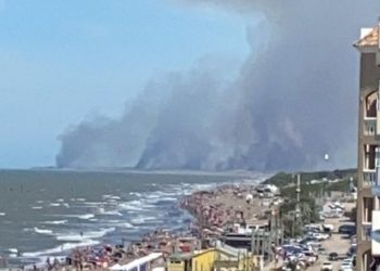 Avanza incendio forestal en Pehuen Có.