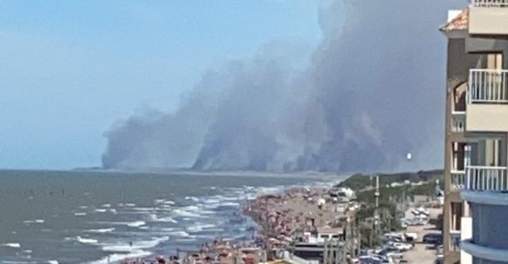 Avanza incendio forestal en Pehuen Có.