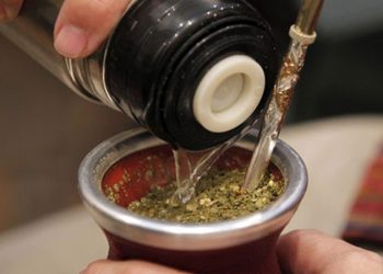 Prohíben una yerba por tener bacterias