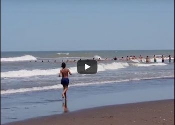 Se viraliza video! Guardavidas en acción el pasado Domingo