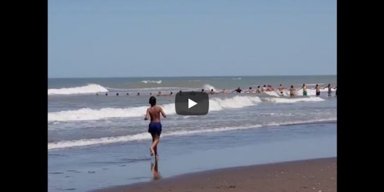 Se viraliza video! Guardavidas en acción el pasado Domingo