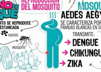 Dengue: las últimas muestras de ovitrampas volvieron a dar negativo.