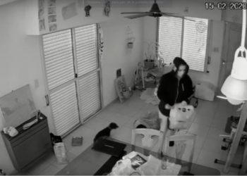 Robo en Monte Hermoso. Video