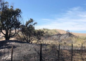 Controlado el incendio en Pehuen Co