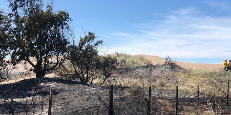 Controlado el incendio en Pehuen Co