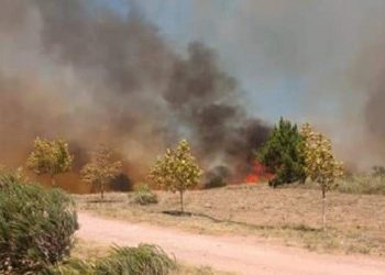 Controlado el incendio en Pehuen Co