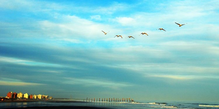 Actividades para el fin de semana de Carnaval