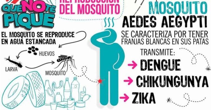 Alerta Dengue. Conferencia de prensa de los secretarios de Salud, Gestión Ambiental y secretario de la Tercera Edad