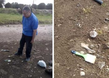 Encuentran restos de un gliptodonte en la laguna de Puán.