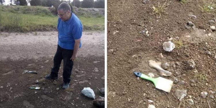 Encuentran restos de un gliptodonte en la laguna de Puán.