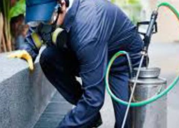 Amplían el listado de actividades y servicios esenciales durante la emergencia