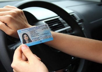 Renovacion licencias de conducir
