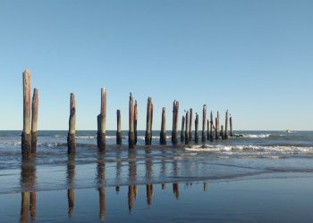 Detuvieron a cuatro hombres que violaron la cuarentena para ir a pescar