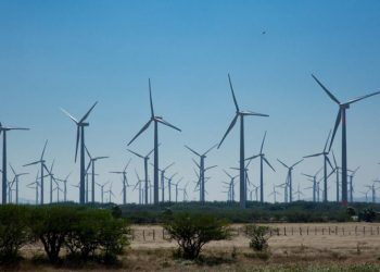 Por los dos casos de COVID-19: deciden cerrar por 14 días el Parque Eólico de Buratovich