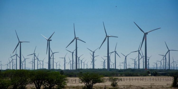 Por los dos casos de COVID-19: deciden cerrar por 14 días el Parque Eólico de Buratovich