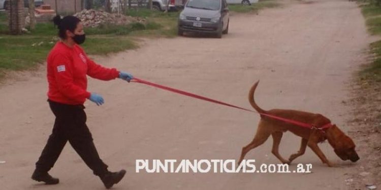 Apareció la menor buscada en Bahía Blanca