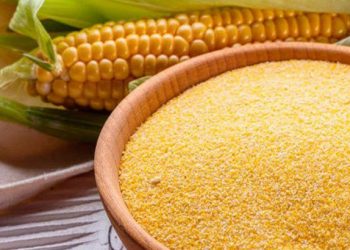 La ANMAT prohibió una harina porque encontraron heces de roedores en la fábrica