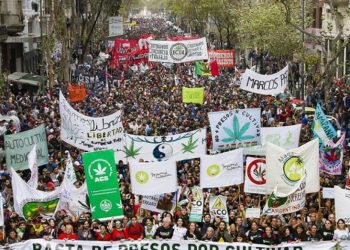 Este año realizan de manera virtual la Marcha Mundial de la Marihuana.