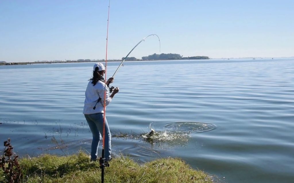 Pesca en la Laguna Sauce grande