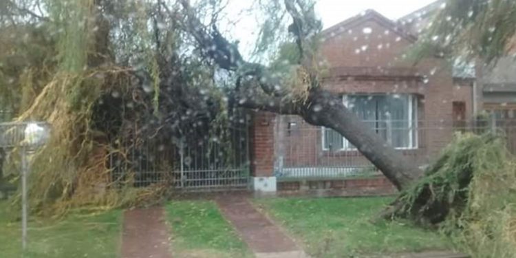 Temporal en Bahía Blanca