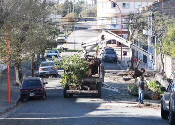  Comienza la remodelación de veredas céntricas en Monte Hermoso.