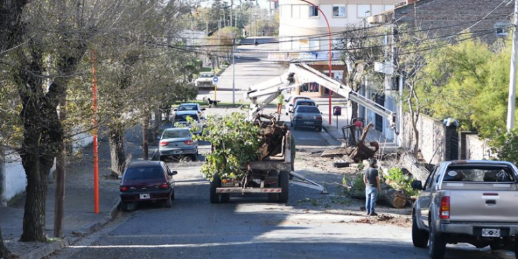 Comienza la remodelación de veredas céntricas en Monte Hermoso.