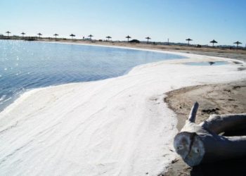La Sal volvió a brotar en Lago Epecuén