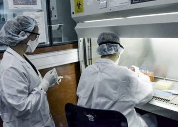 Bahía Blanca: Se registraron 11 nuevos casos de coronavirus.