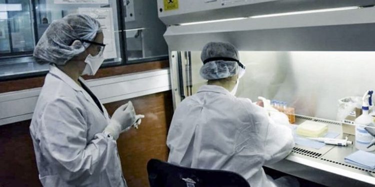 Bahía Blanca: Se registraron 11 nuevos casos de coronavirus.