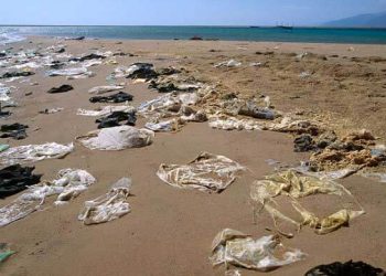 Día Internacional libre de Bolsas de plástico