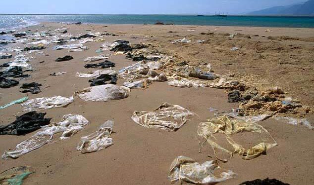 Día Internacional libre de Bolsas de plástico