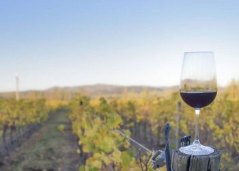 Bodegas cerca de Monte Hermoso