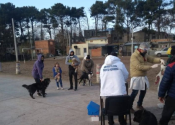 Vacunación antirrábica gratuita en la Plaza FONAVI 