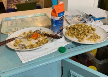 Desvalijaron otra casa de propietarios Bahienses en nuestra ciudad