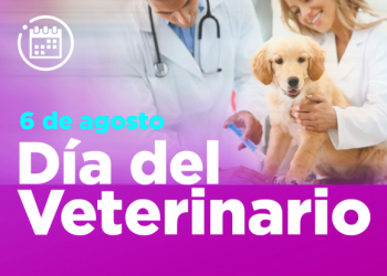 Hoy 6 de agosto Día del Veterinario.