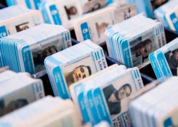 Licencia de conducir plazos