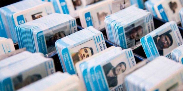 Licencia de conducir plazos