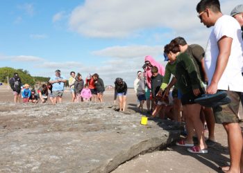 Actividad del Museo de Ciencias Naturales Vicente Di Martino
